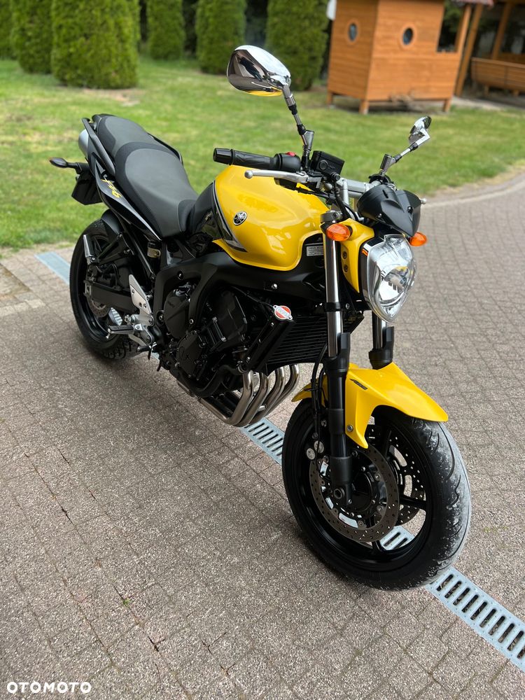Yamaha FZ6 - 5