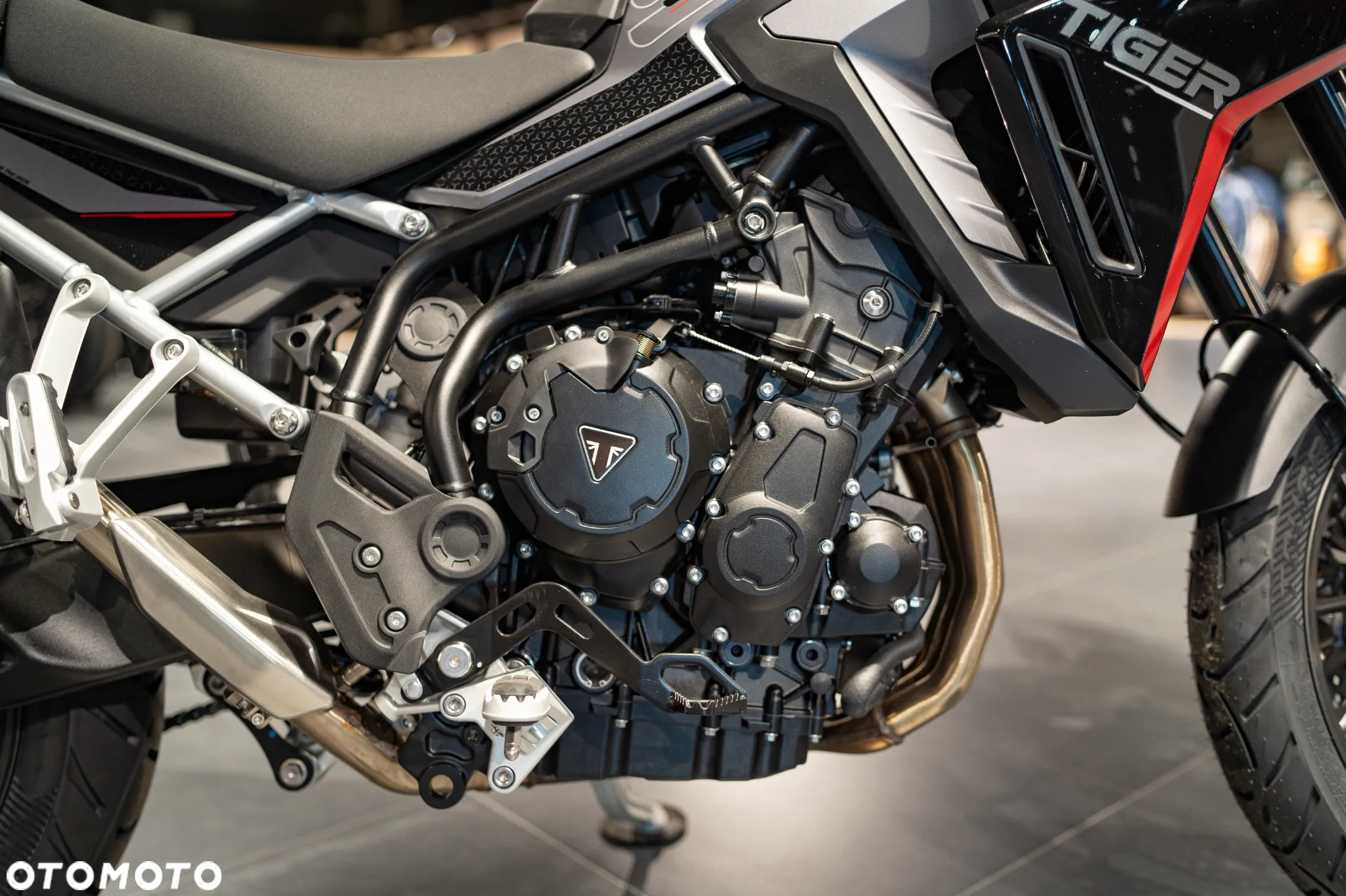 Triumph Tiger - 12