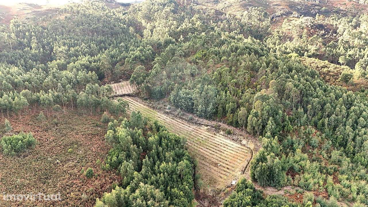 Terreno  para venda - Grande imagem: 5/7