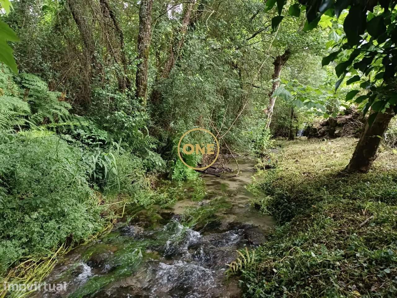 Terreno Zona Rural - Grande imagem: 4/19