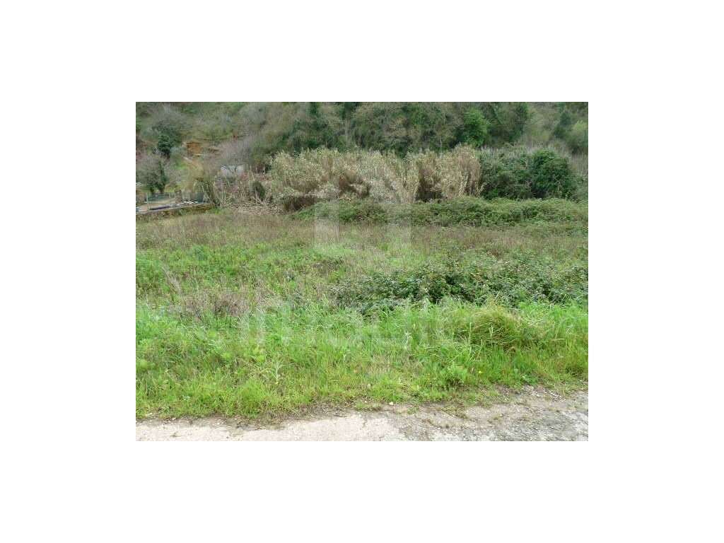 Terreno - Grande imagem: 3/6