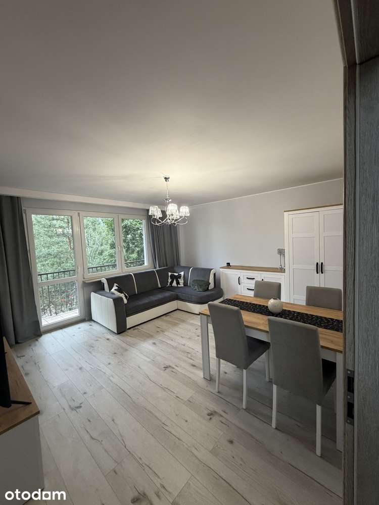 Wyremontowane 3 pokoje | 62 m² | Gotowe do zamieszkania | Widzew