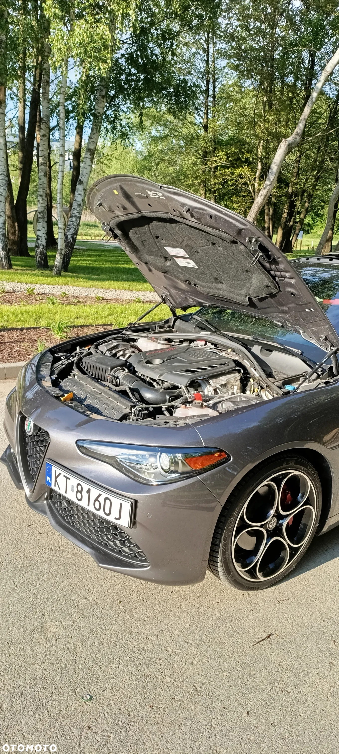 Alfa Romeo Giulia 2.0 Turbo 16V AT8 Veloce - 25