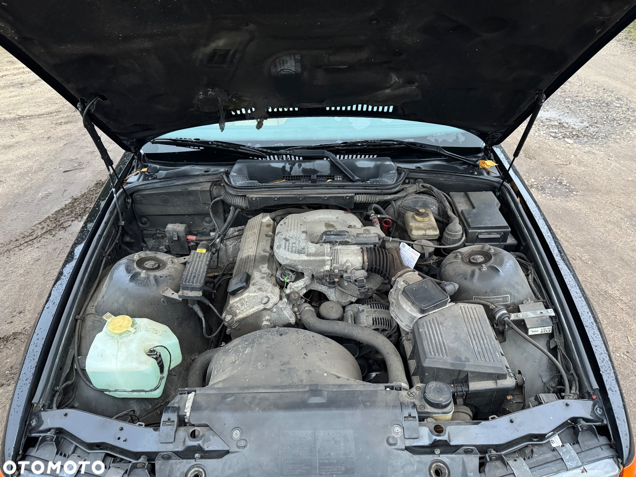BMW Seria 3 318i Cabriolet - 24