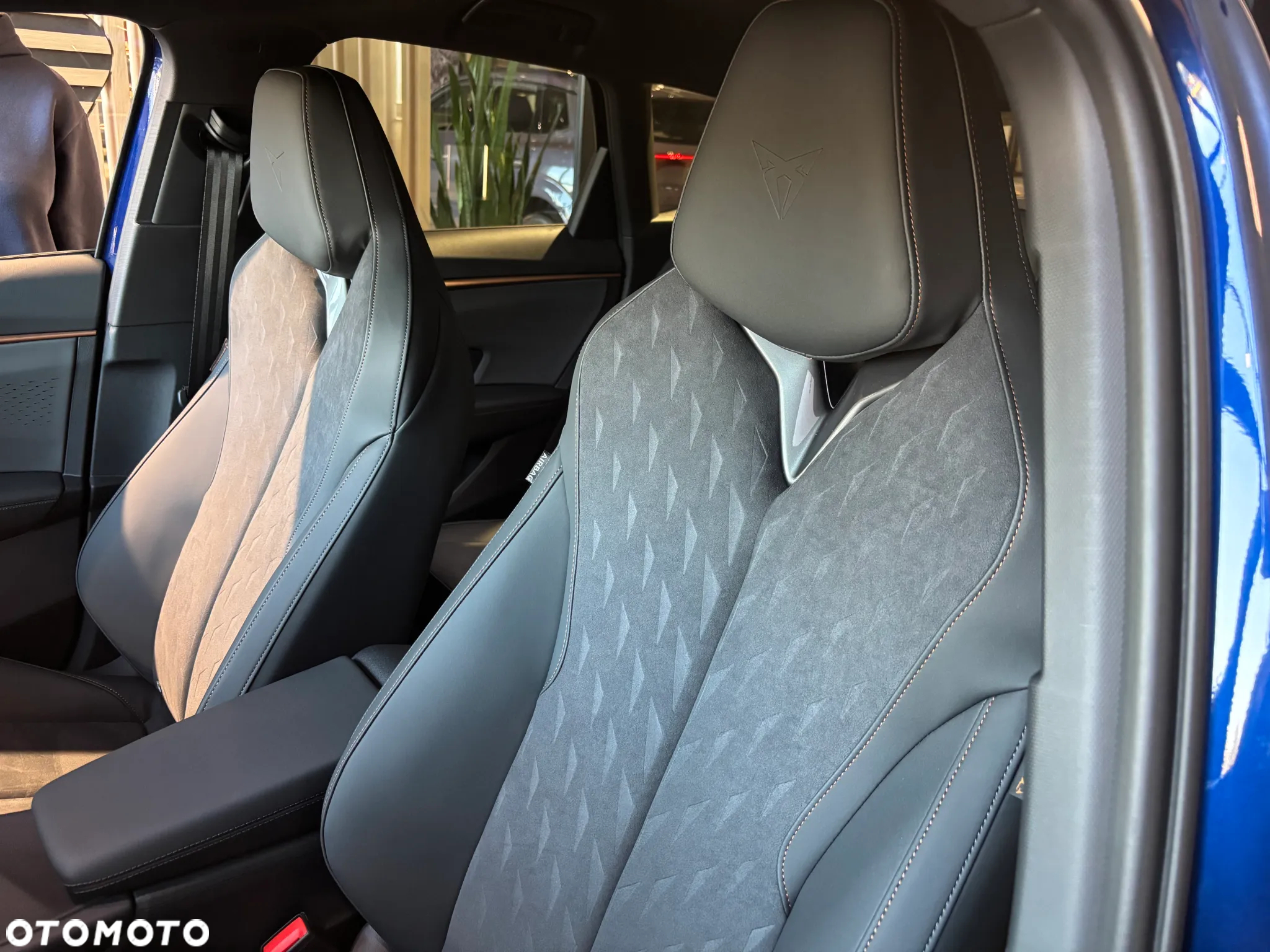 Cupra Terramar - 15