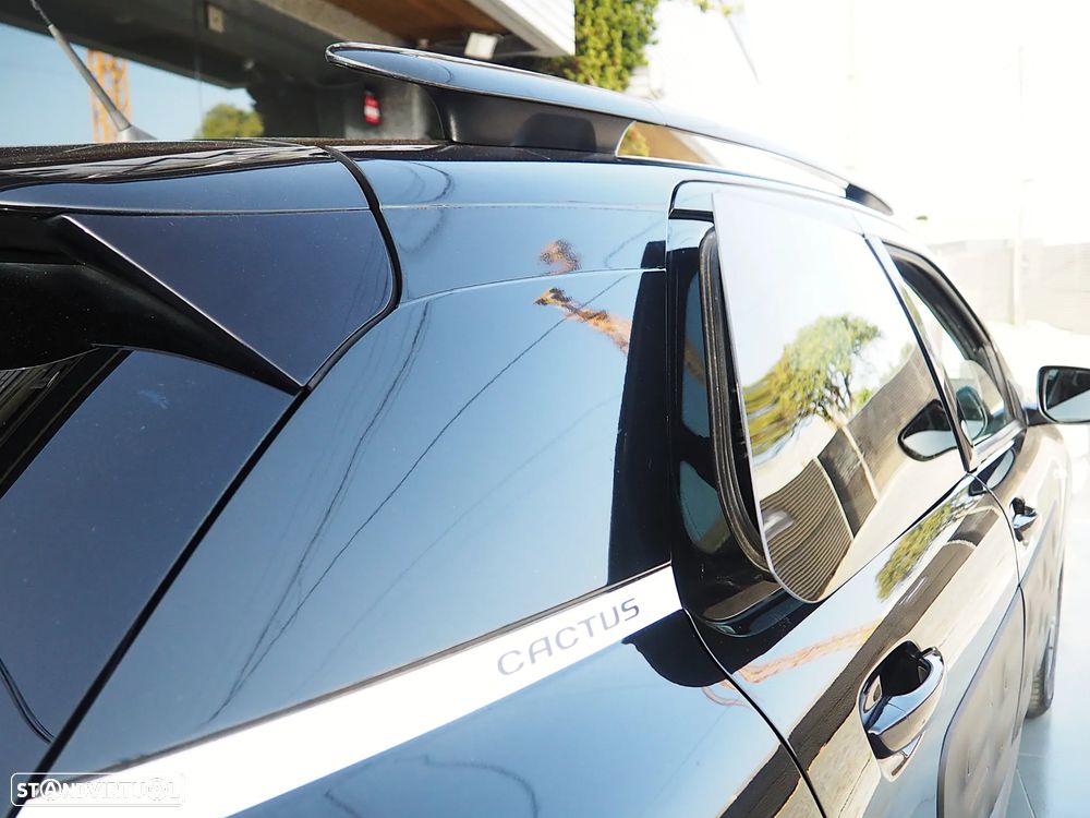 Citroën C4 Cactus PureTech 110 Stop&Start Shine - 20