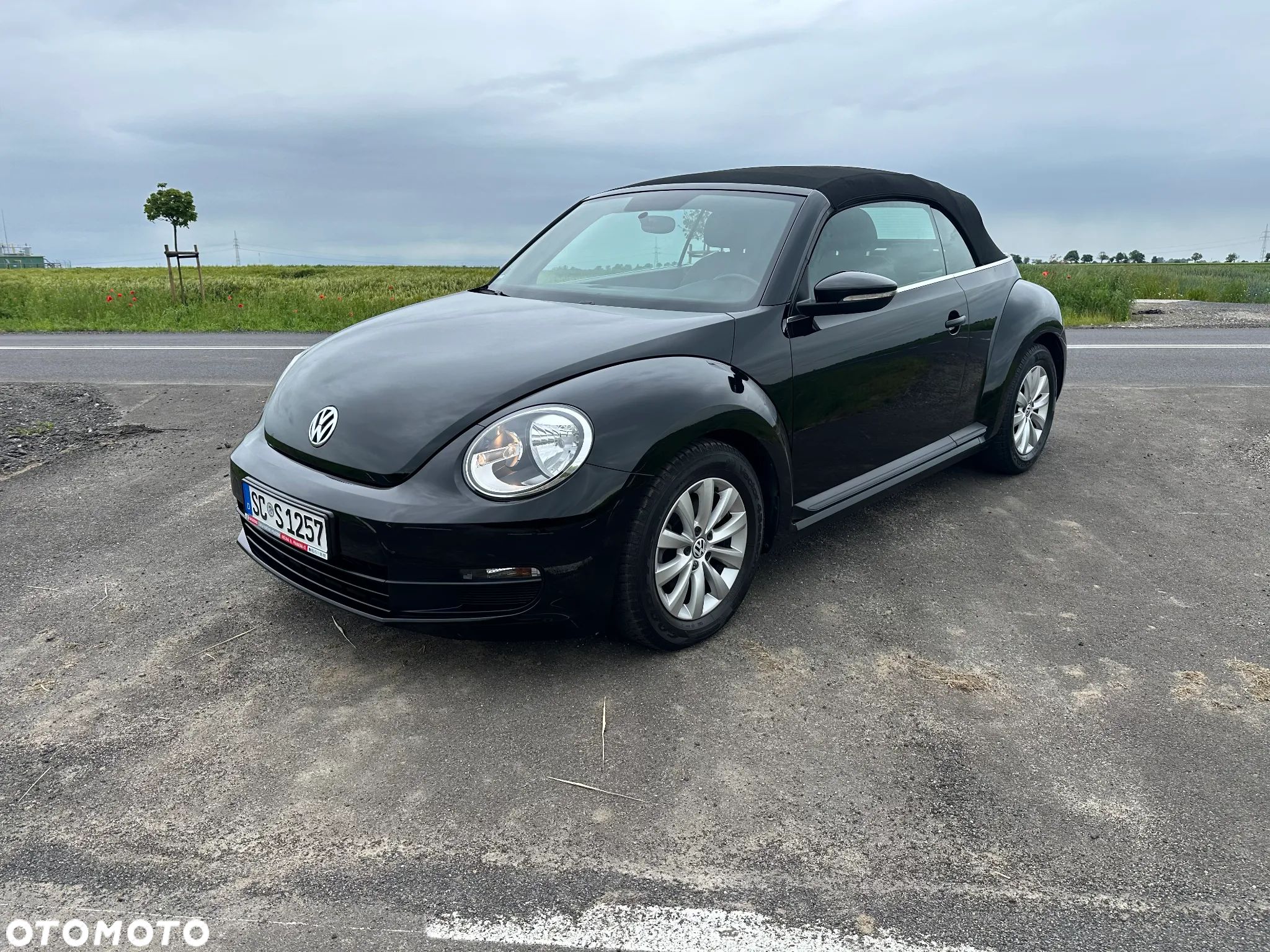 Volkswagen Beetle - 1