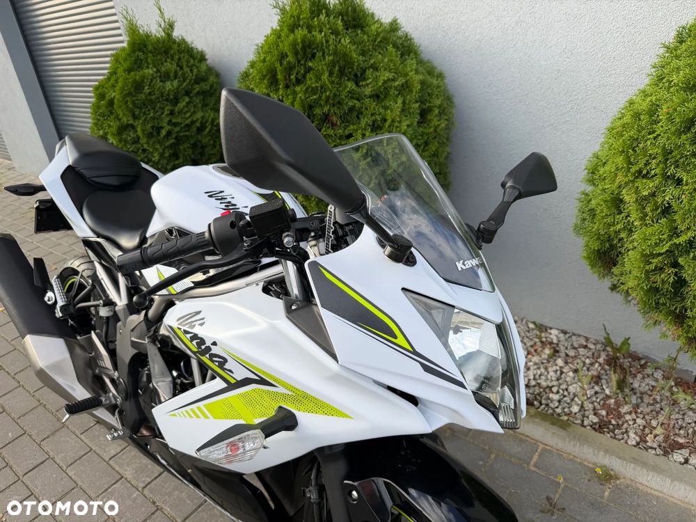 Kawasaki Ninja - 10