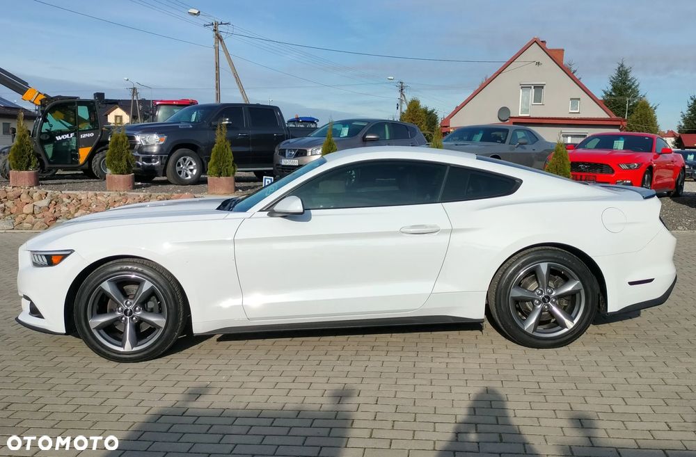 Ford Mustang 3.7 V6 - 10