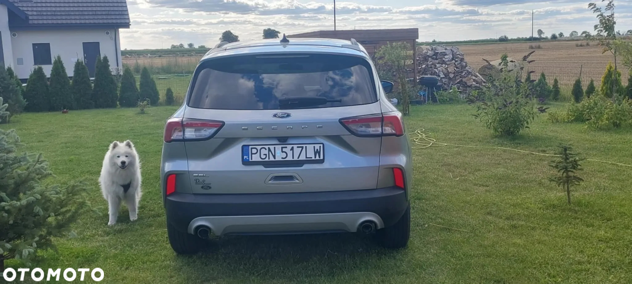 Ford Escape 1.5 EcoBoost AWD SE - 9
