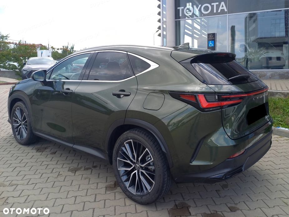 Lexus NX - 6