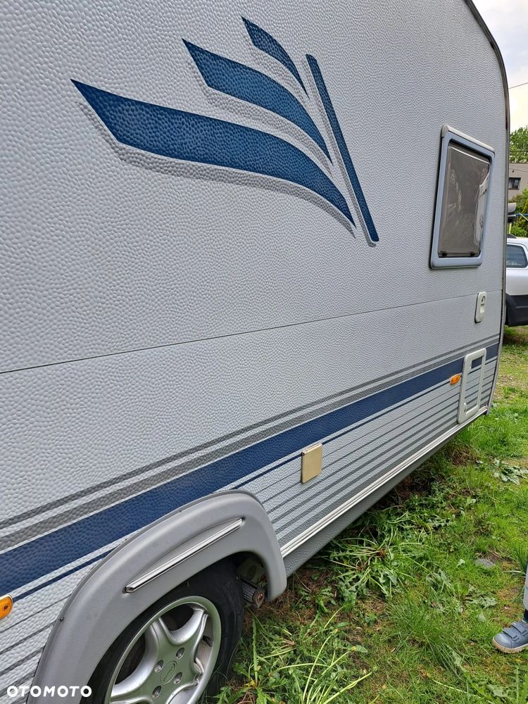 Wilk SPORT 490 - 6