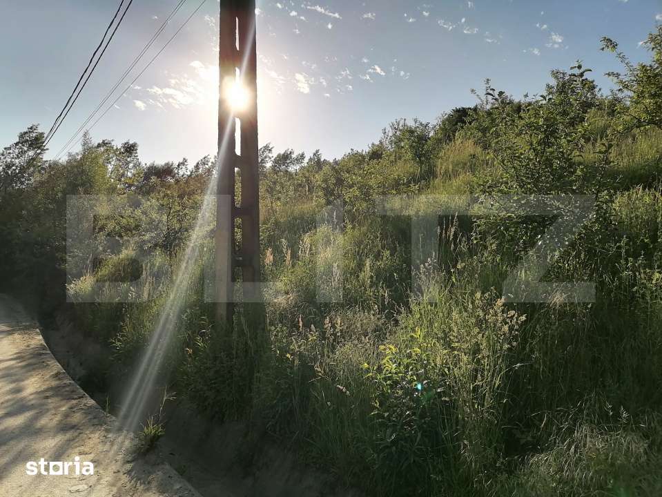 Vand teren intravilan (7322mp) + extravilan (7078mp) - Imagine principală: 3/8