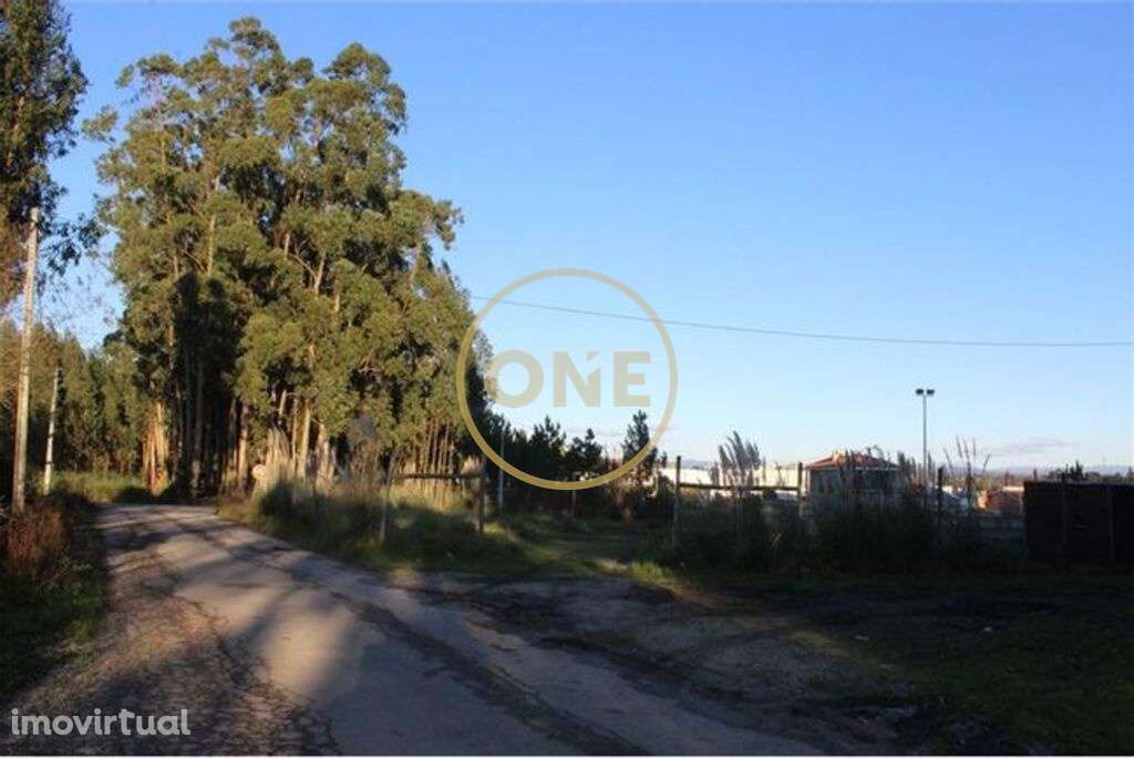 Terreno Pinhal - Grande imagem: 5/5