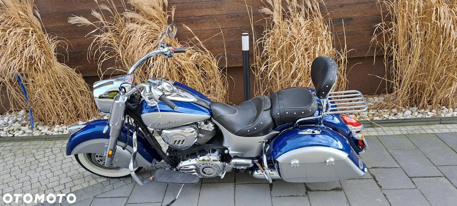 Indian Springfield - 28