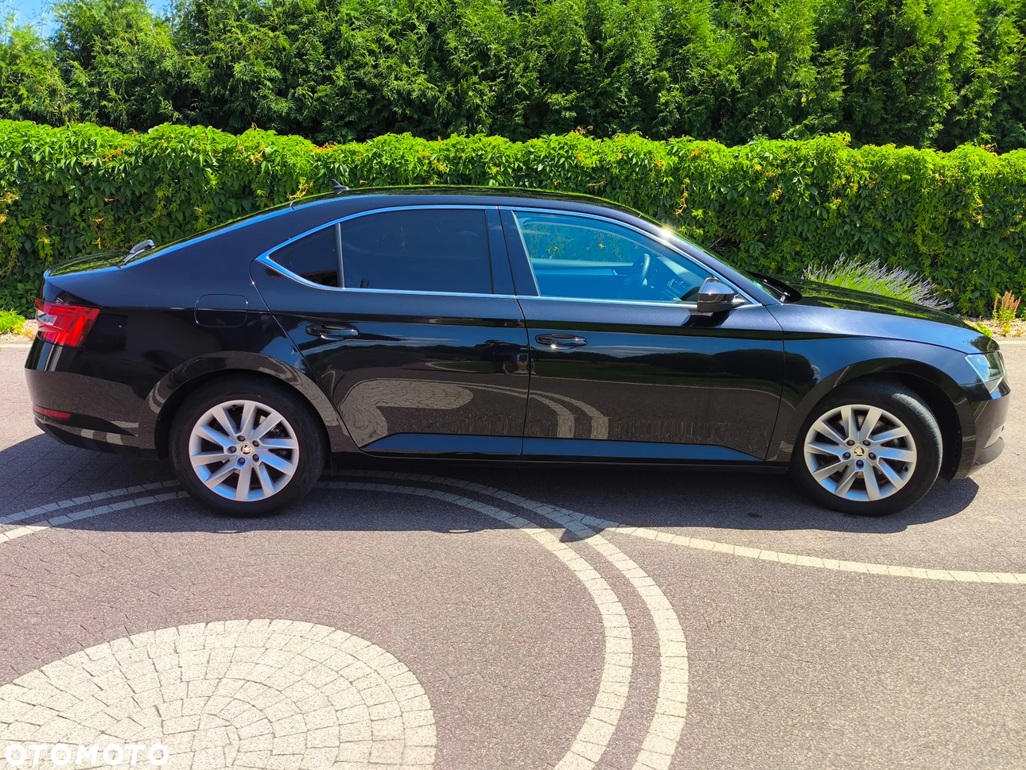 Skoda Superb - 24