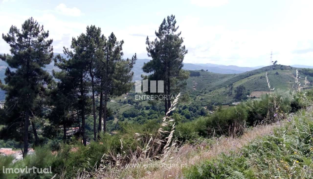 Venda Terreno, Valadares, Baião - Grande imagem: 2/24