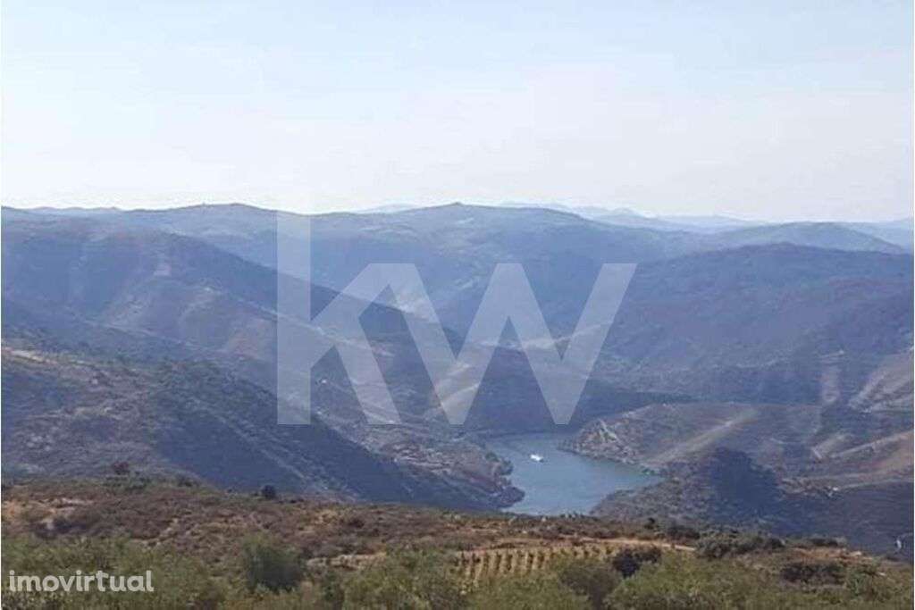 TERRENO DE 39 Ha, COM VISTA PARA O RIO DOURO (3.1 Ha DE VINHA COM BENE - Grande imagem: 2/16