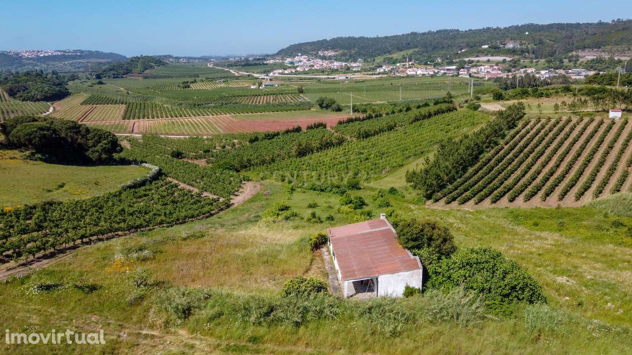 Terreno rústico na Roliça, Bombarral - Grande imagem: 5/12
