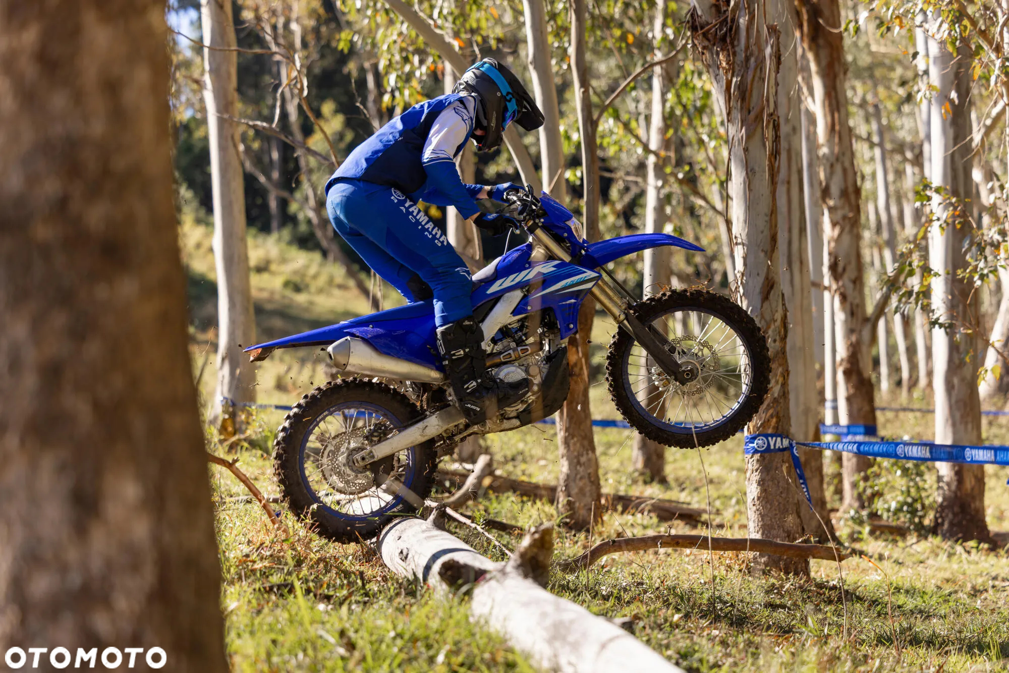 Yamaha WR - 3