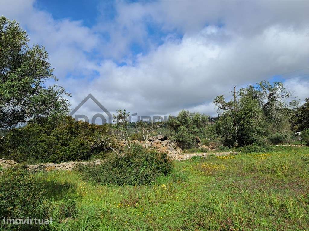 Terreno com Projeto Aprovado - Loulé
 2173 m² | Vista Campo | Proj... - Grande imagem: 3/11
