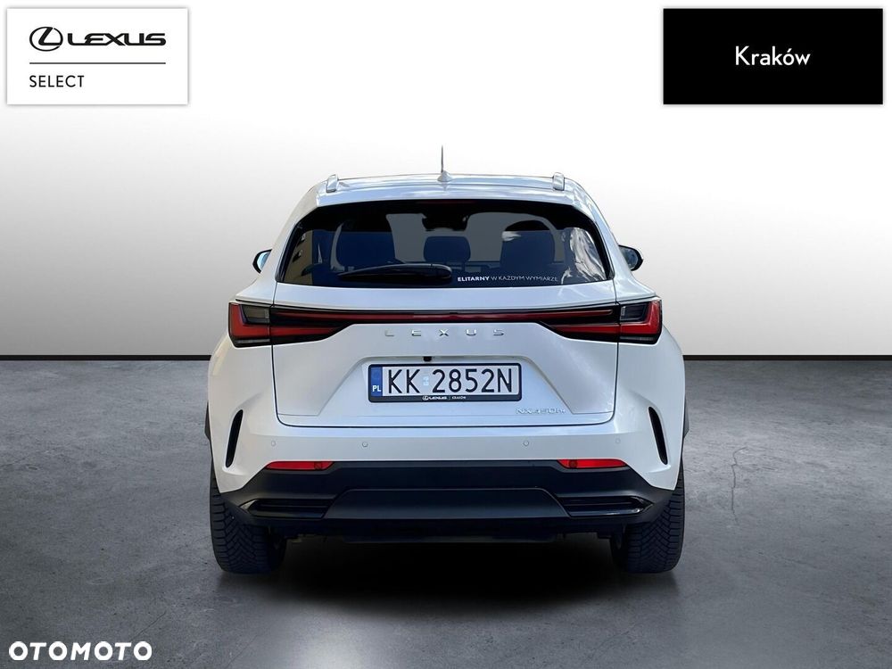 Lexus NX - 4