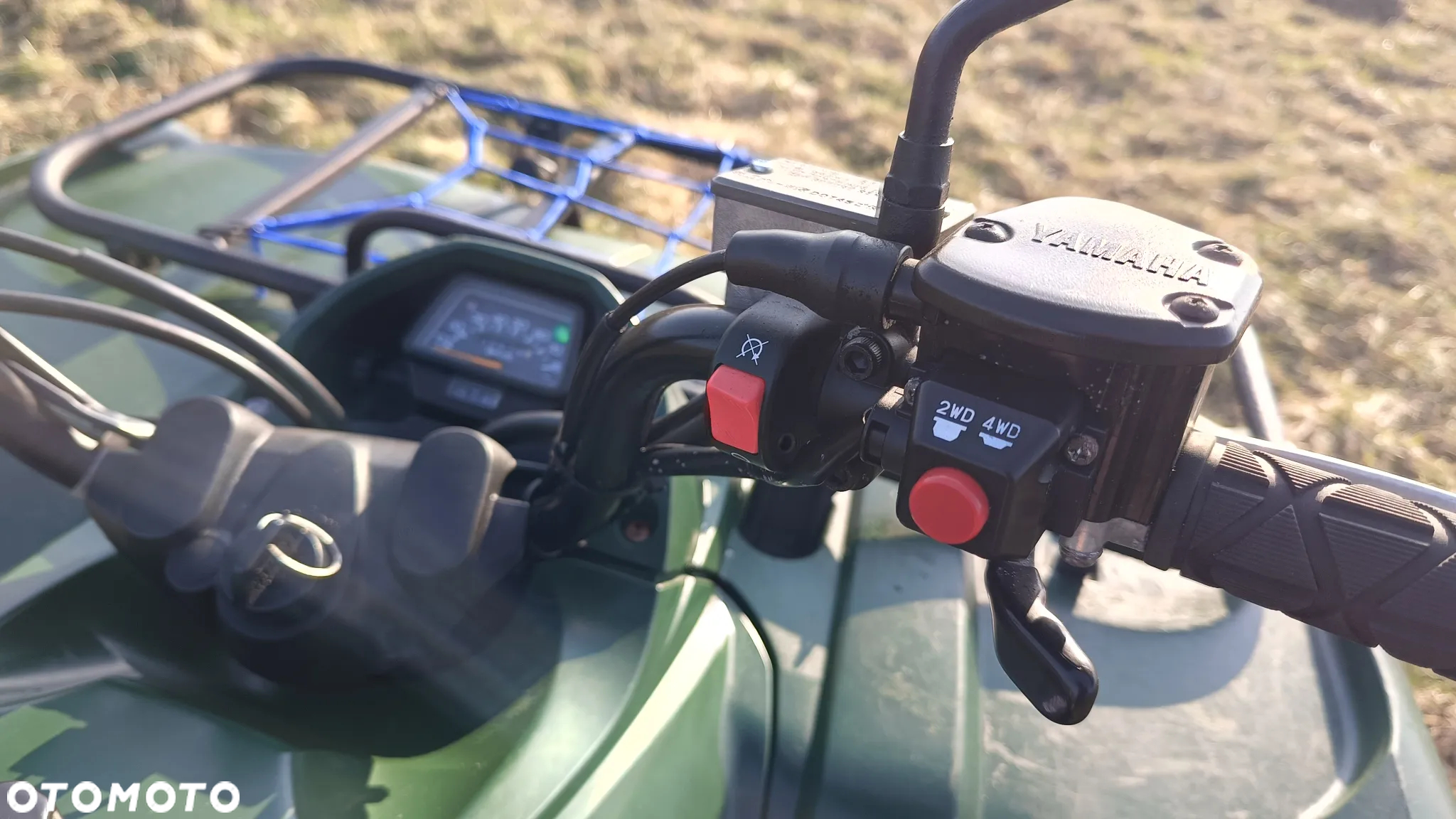 Yamaha Grizzly - 20