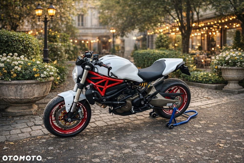 Ducati Monster - 1