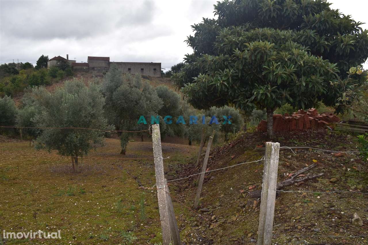 ANG1220 - Terreno para Venda em Atalaia, Pedrógão Grande - Grande imagem: 5/9