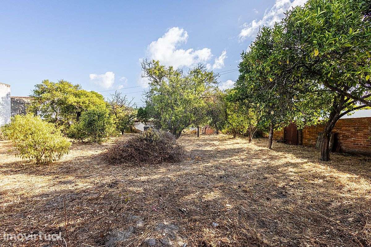 Moradia T4 para venda - Grande imagem: 2/10