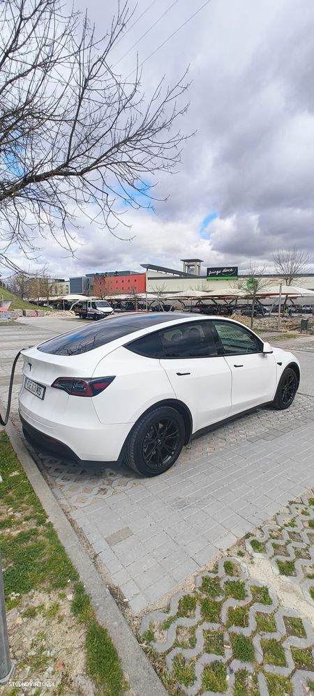 Tesla Model Y RWD - 3