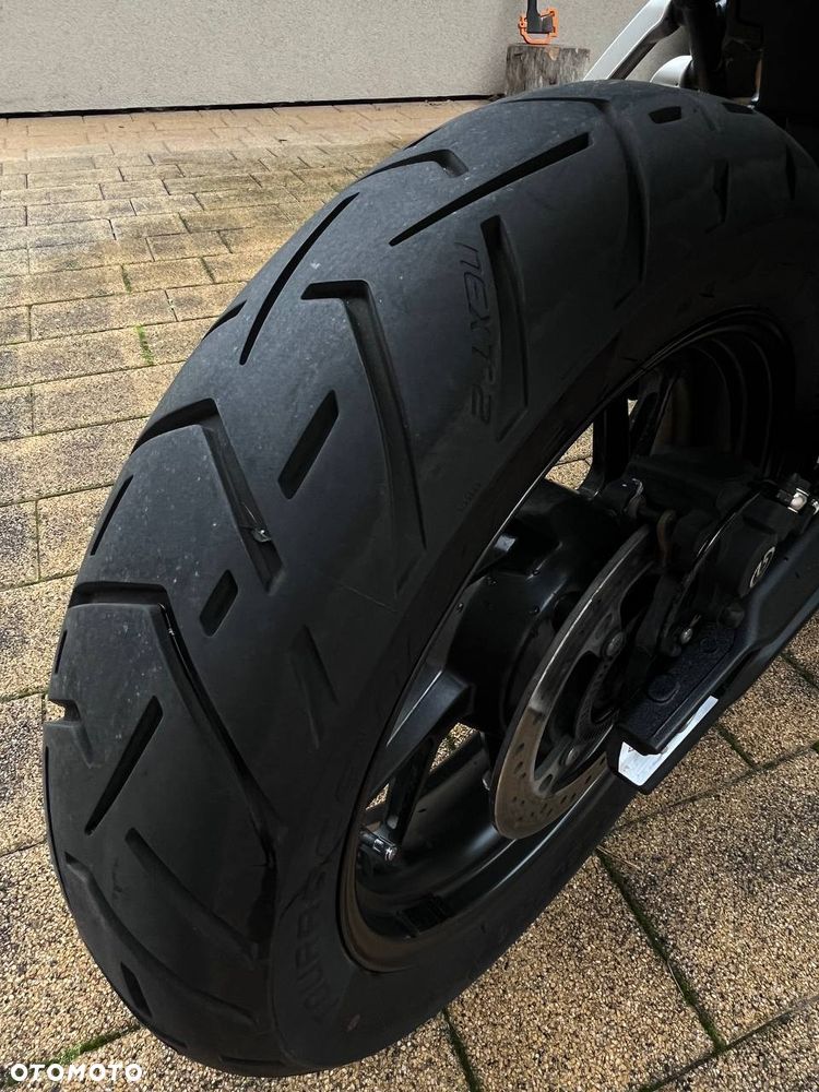 Triumph Tiger - 19