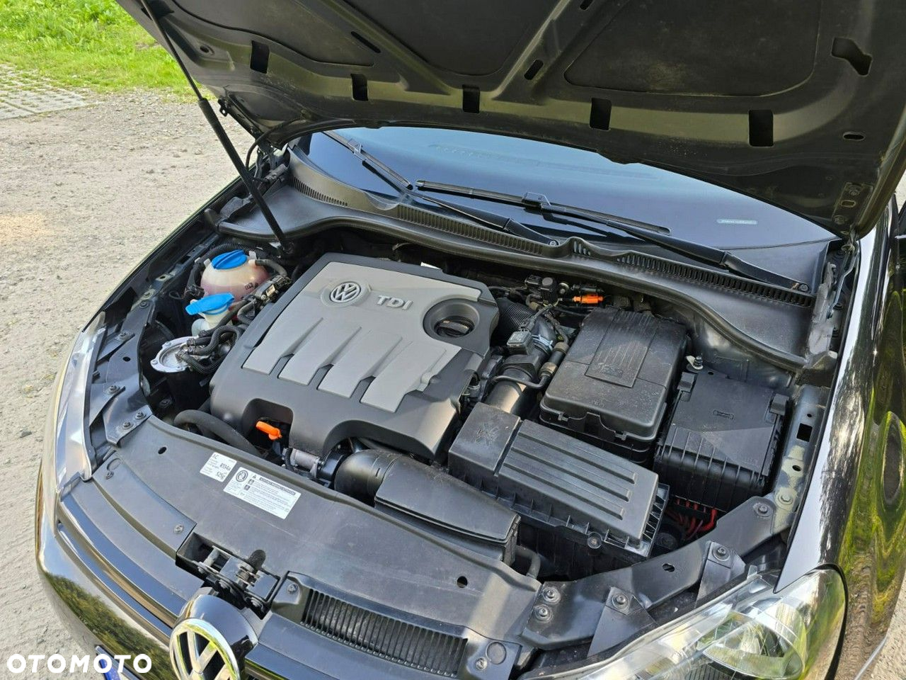 Volkswagen Golf - 34