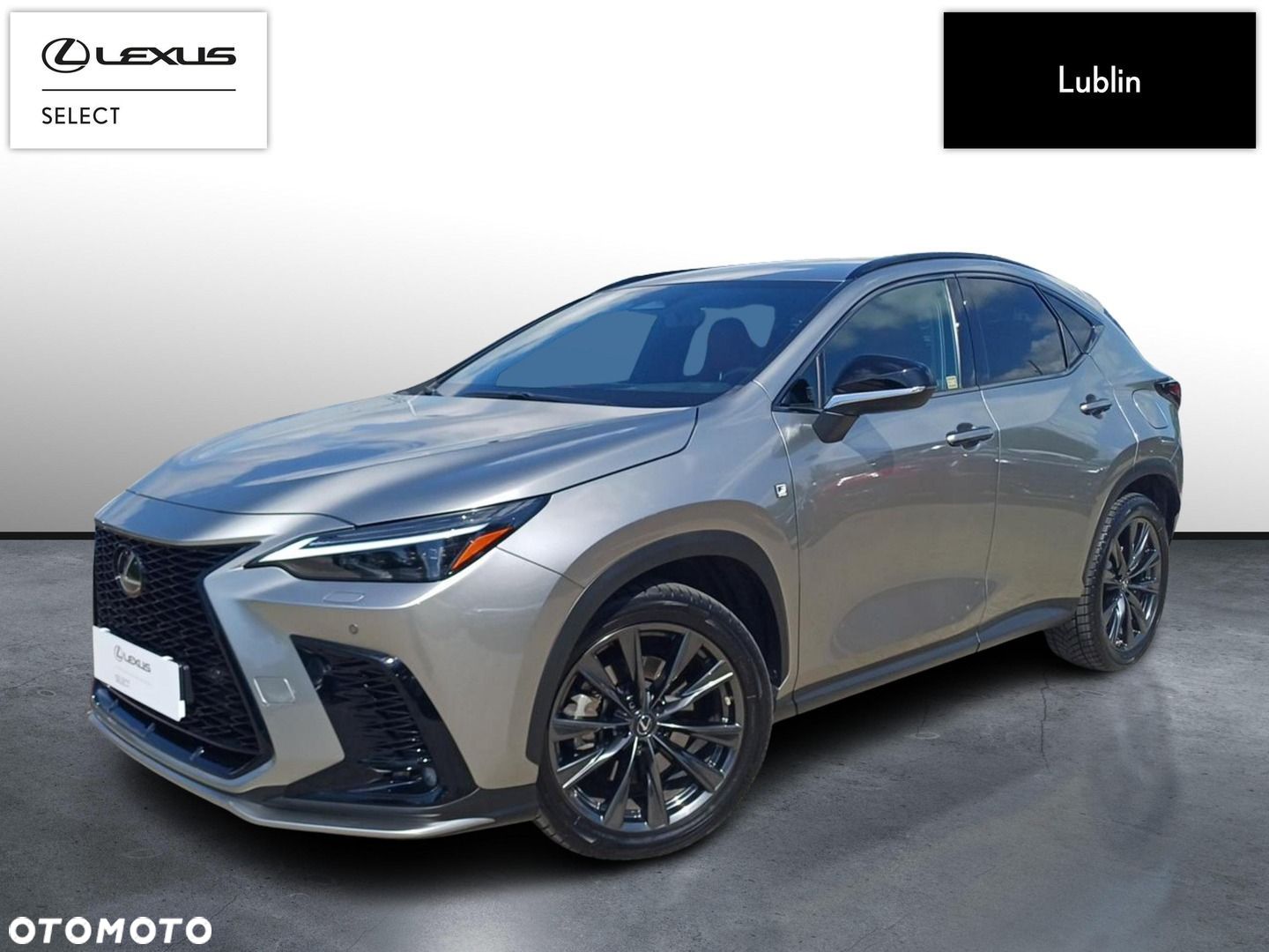 Lexus NX - 1
