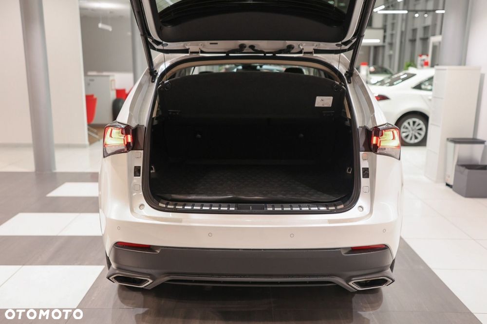 Lexus NX - 37