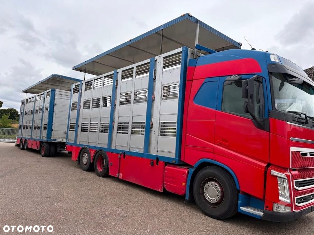 Volvo FH 500 GLOBETROTTER XL 6x2 | MENKE 3-POZIOMY | KOMPLETNY ZESTAW DO TRANSPORTU ZWIERZĄT - 2