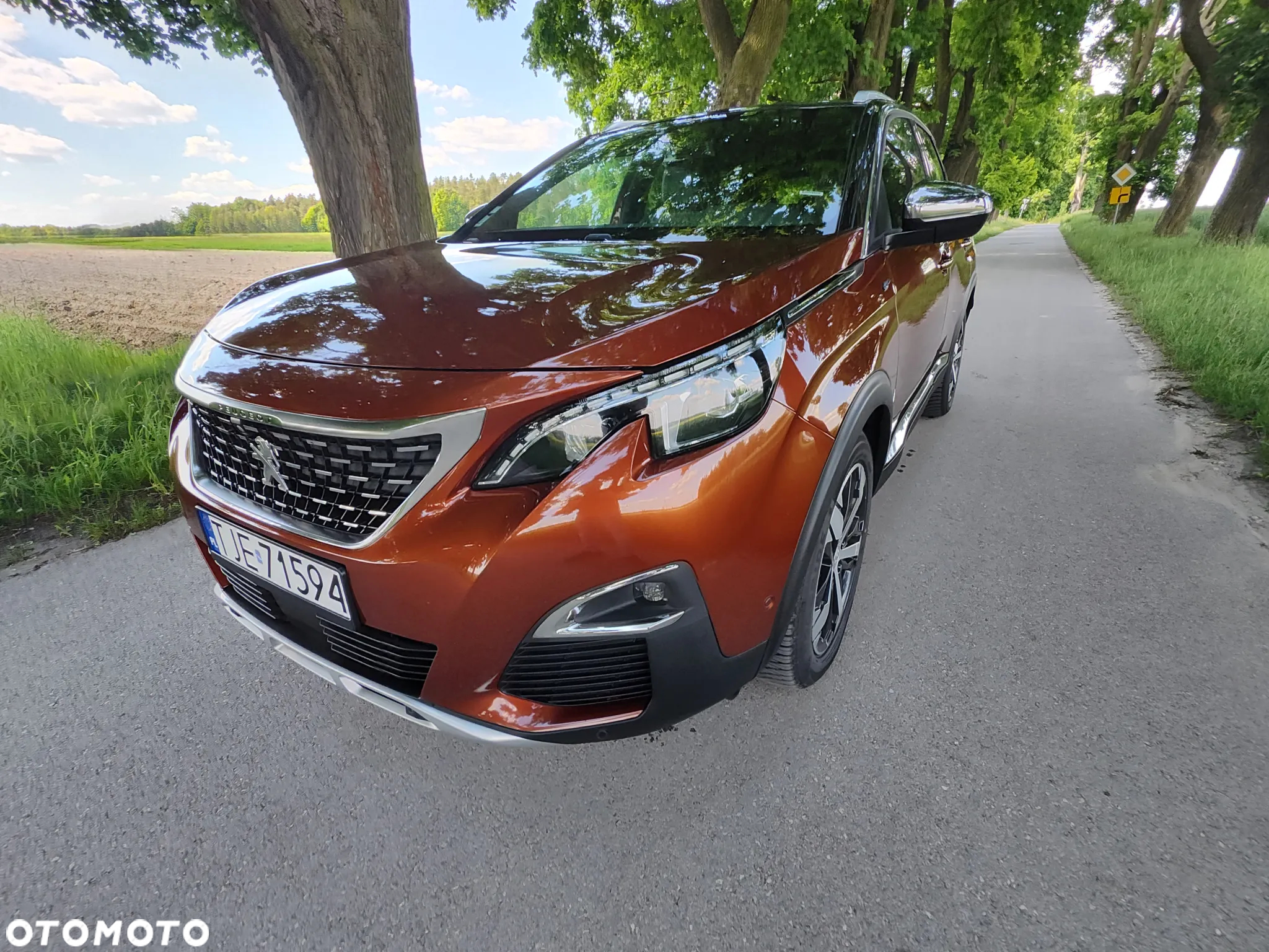Peugeot 3008 2.0 BlueHDi GT S&S EAT8 - 27