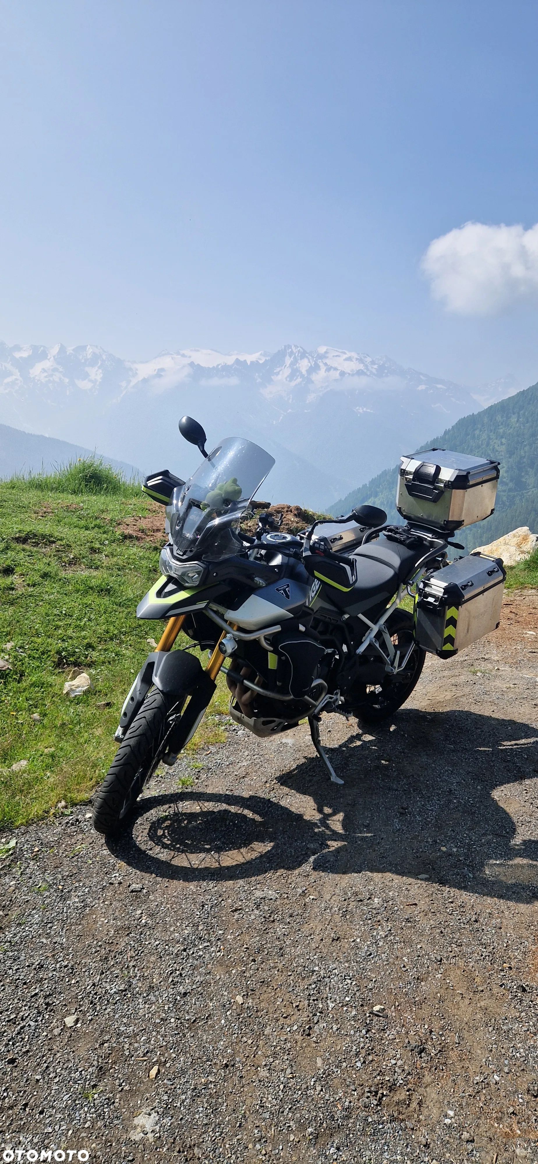 Triumph Tiger - 1