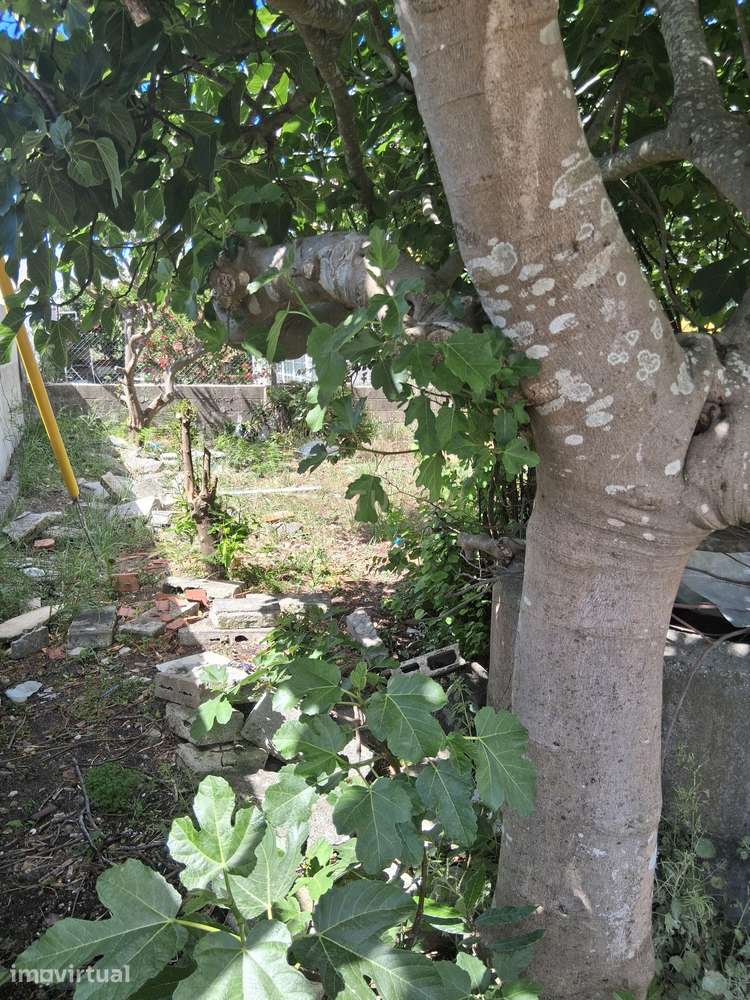 Terreno urbano em gaveto na rua Fernão  Magalhães, Pinhal do General. - Grande imagem: 4/14