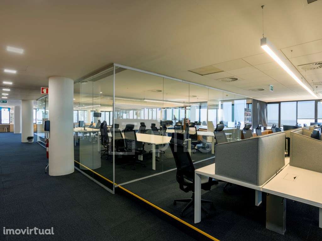 Escritório para arrendar, nas Amoreiras, em Campo de Ourique - Grande imagem: 4/18