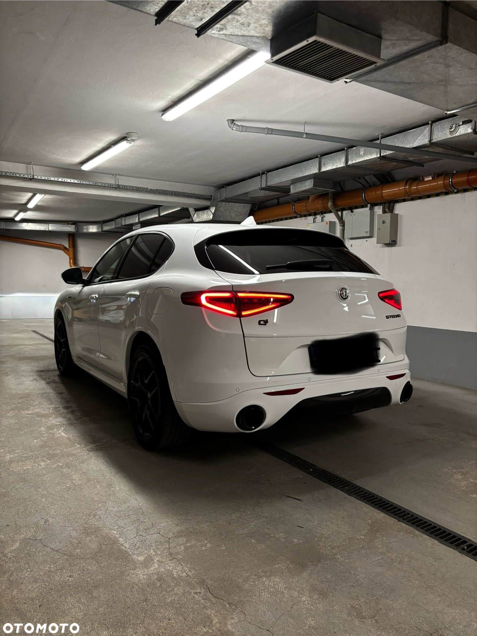 Alfa Romeo Stelvio 2.0 Turbo Veloce Q4 - 3