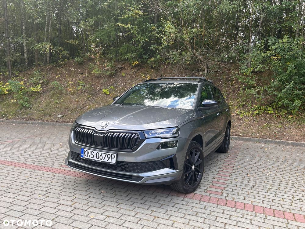 Skoda Karoq - 17