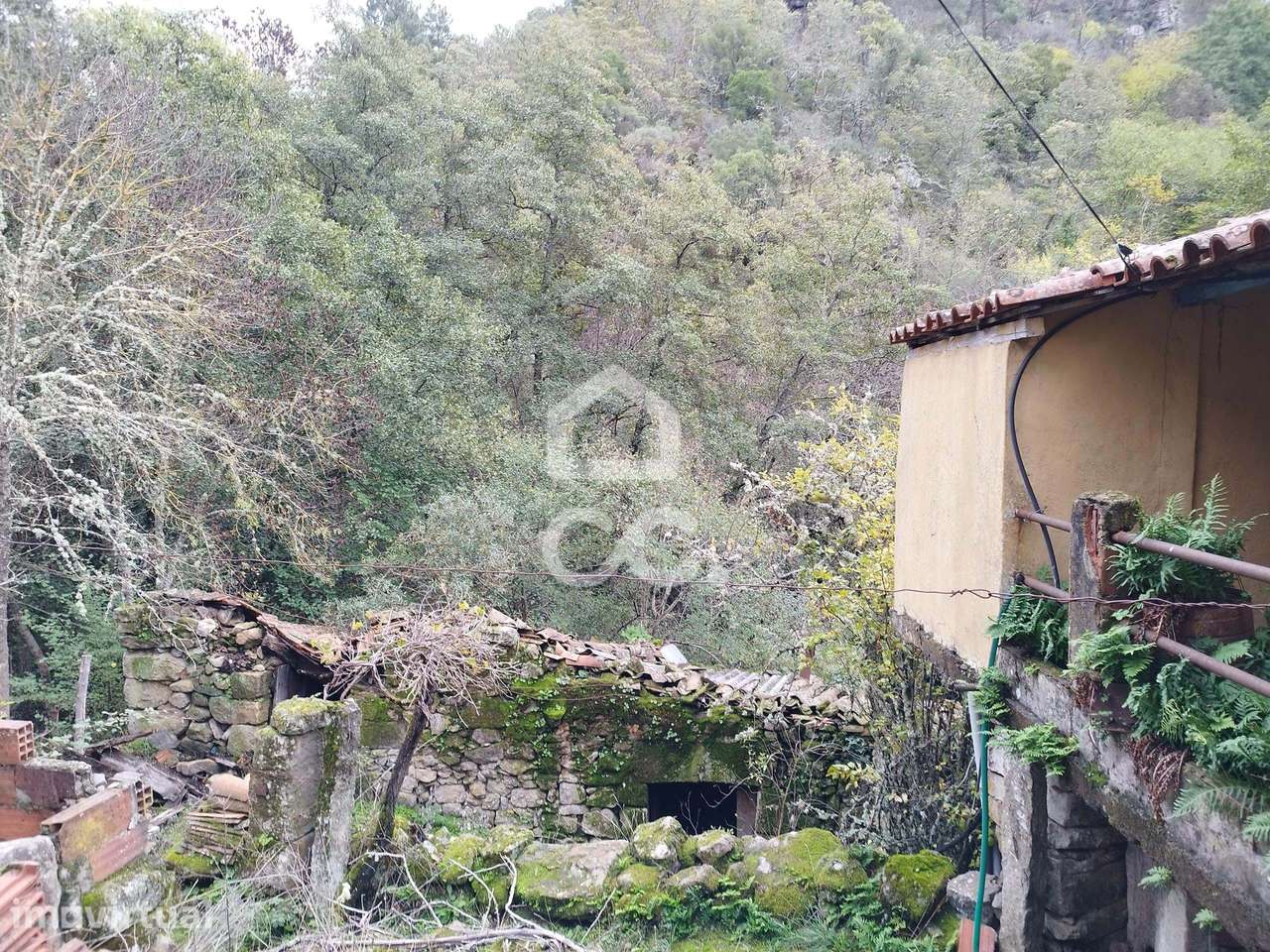 Moradia e Dois Moinhos para Restauro numa Zona Encantadora - Grande imagem: 4/19