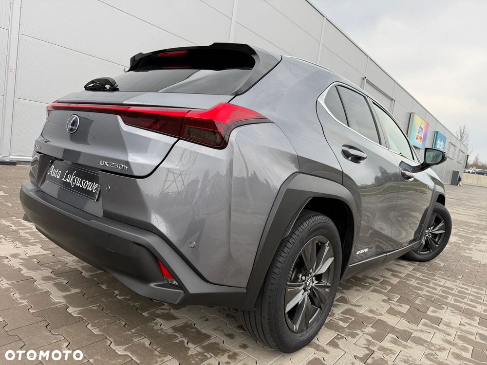 Lexus UX 250h GPF Prestige AWD - 5