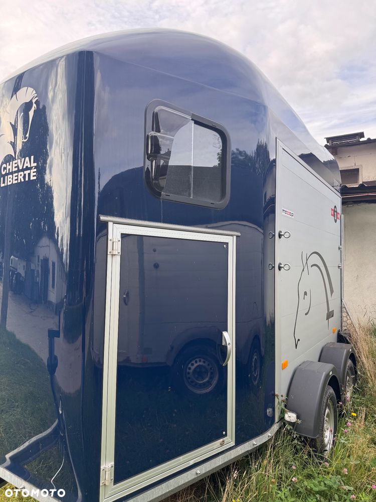 Cheval Liberte Gold One Origins - 4