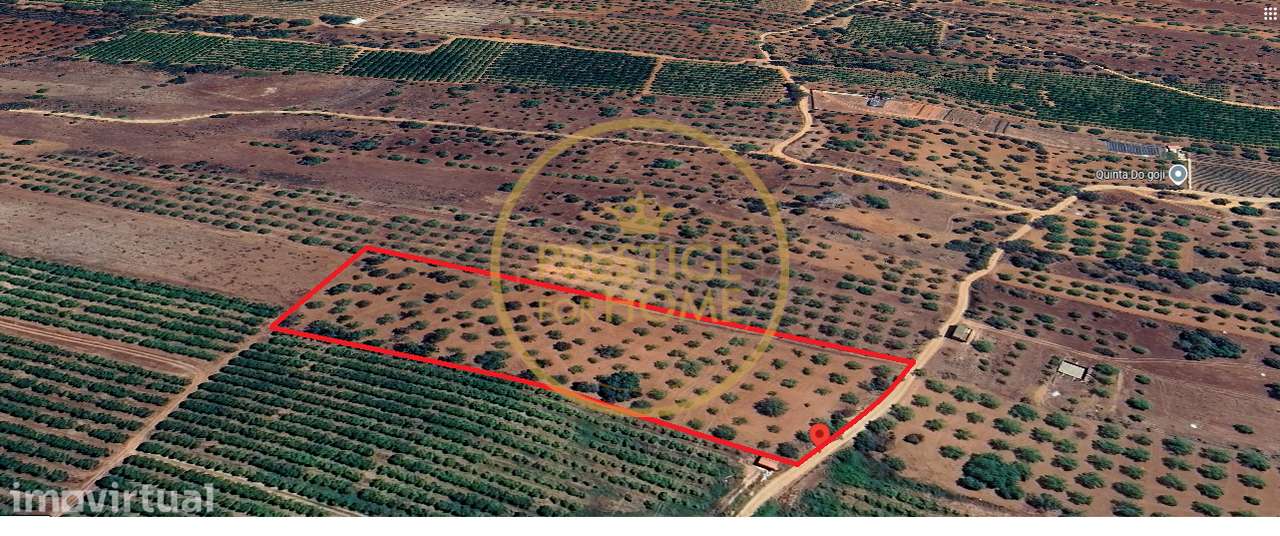 Terreno, 10 892 m², Paderne - Grande imagem: 3/15