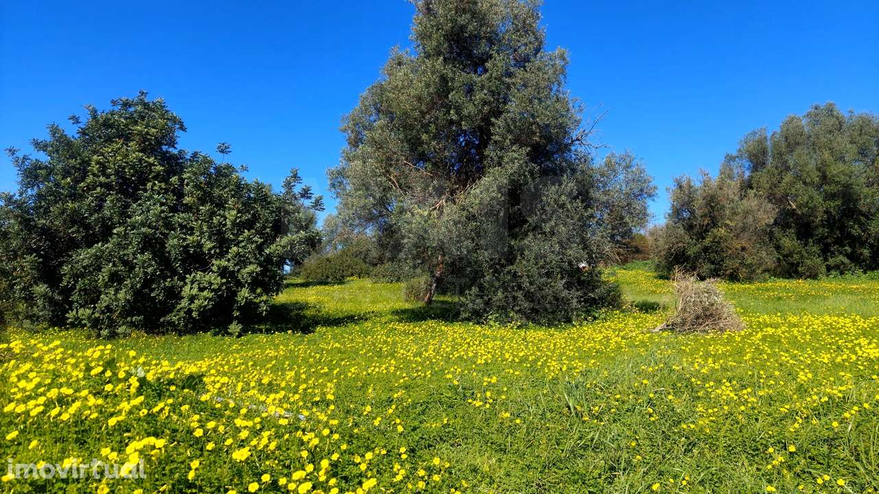 Lote de  Terreno Rustico - Grande imagem: 3/4