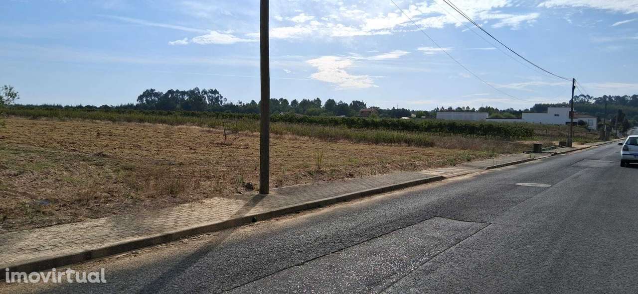 Terreno 5500 m2 - Viabilidade de Construção - Frade de Cima/Alpiarça - Grande imagem: 2/4