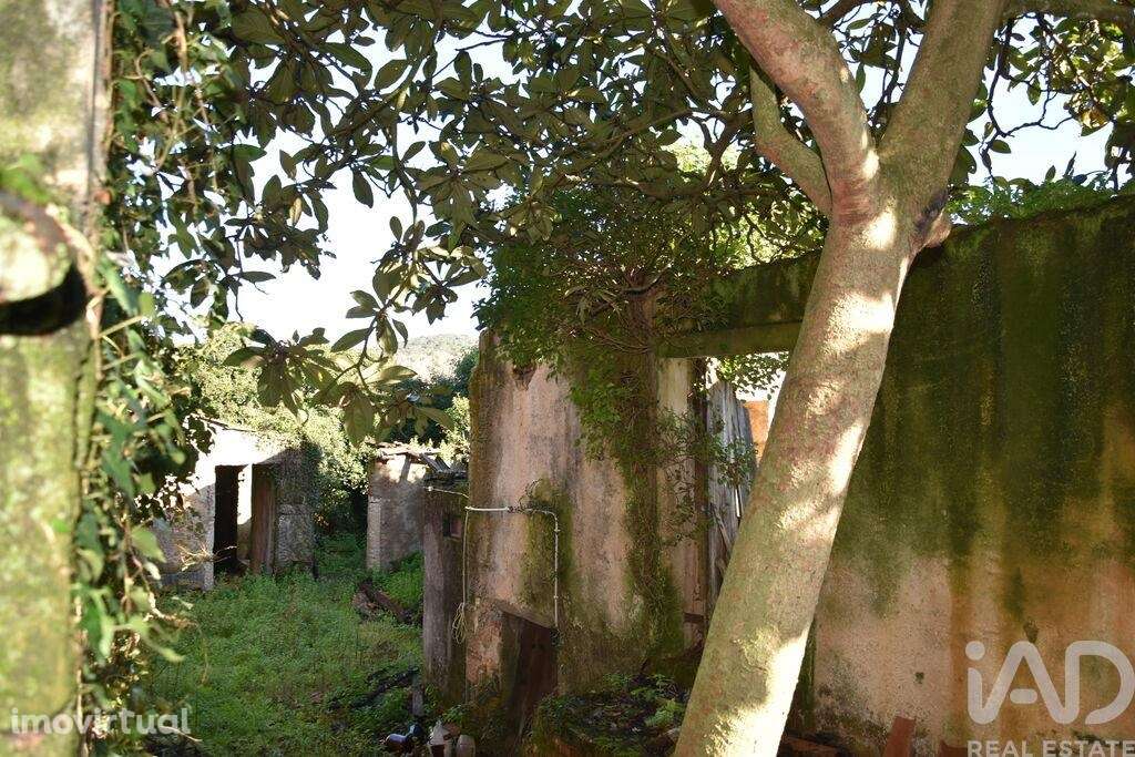 Casa de Campo T5 em Chãos de 760 m2 - Grande imagem: 3/28