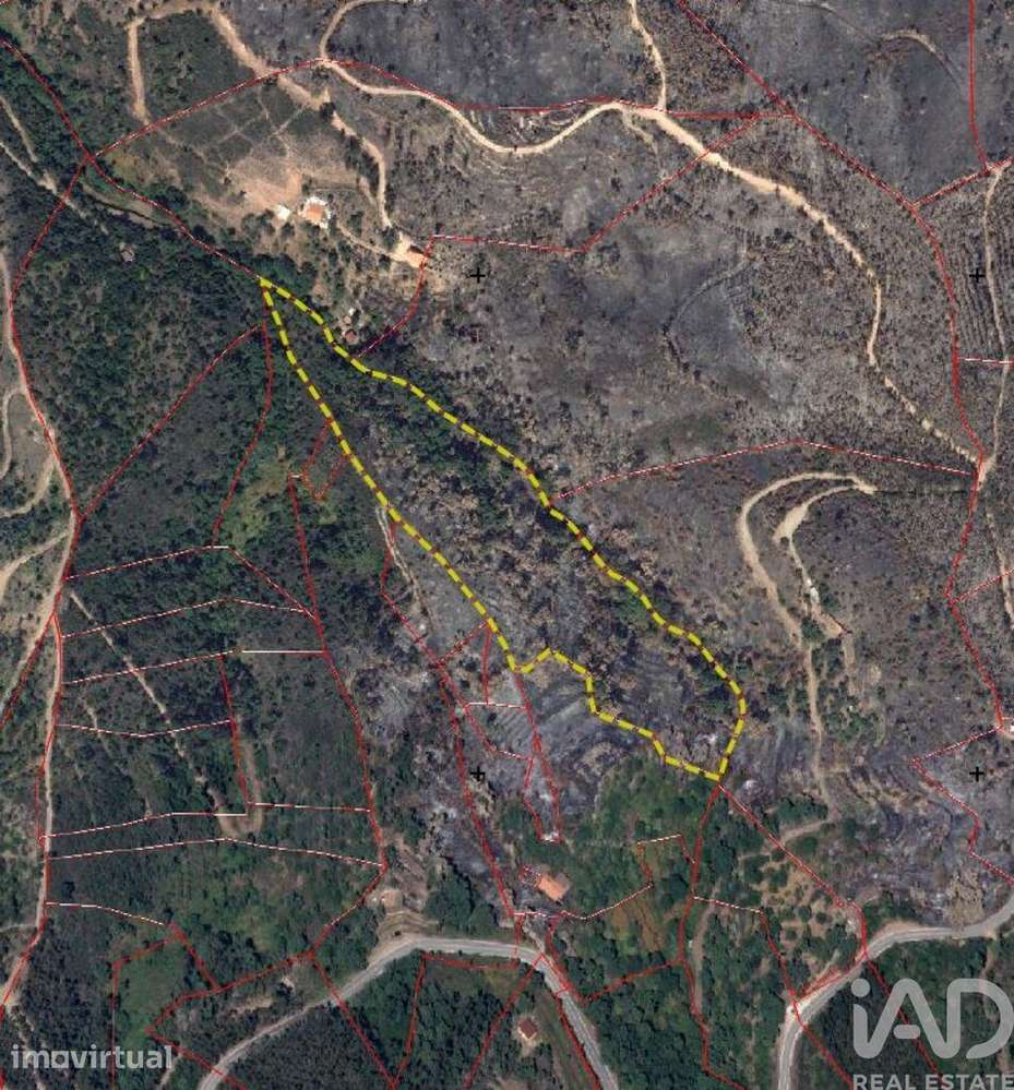 Terreno em Monchique de 21984,00 m2 - Grande imagem: 2/2